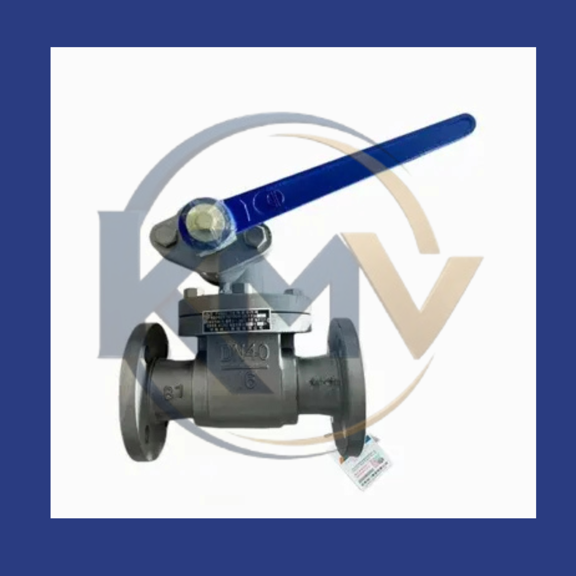 Blowdown Valve